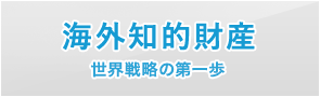 海外知的財産