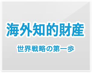 海外知的財産